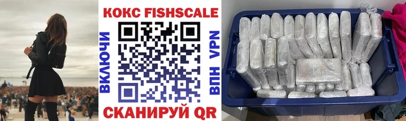 Купить закладки  Рассказово  КОКАИН Fish Scale 