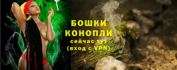 МДПВ Ельня