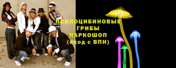 метамфетамин Елизово