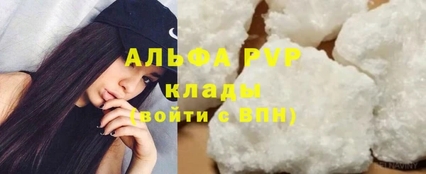 МДПВ Ельня