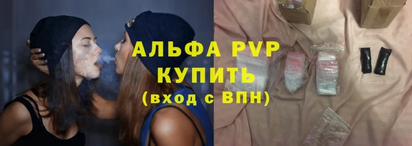 МДПВ Ельня