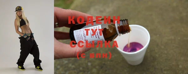 МДПВ Ельня