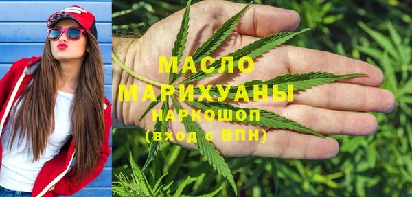 МДПВ Ельня
