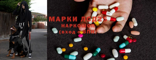 МДПВ Ельня