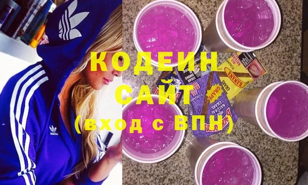 МДПВ Ельня
