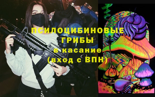 МДПВ Ельня
