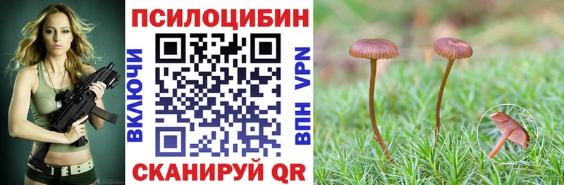 Купить закладки  Рассказово  Псилоцибиновые грибы Psilocybine cubensis 